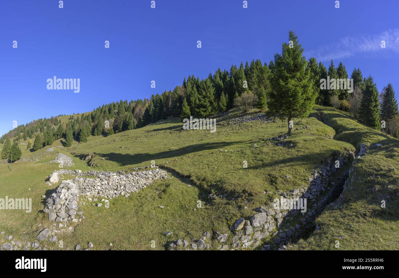 Trincea della prima guerra mondiale, Pieve del Grappa, provincia di Treviso, Italia, Europa Foto Stock
