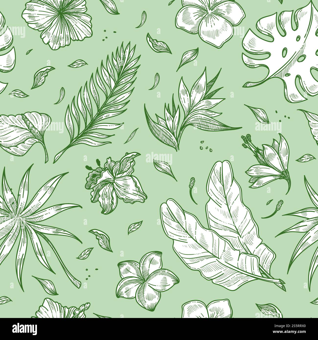 Sfondo con motivo senza cuciture a foglie di palma tropicale. Disegno con sfondo botanico vettoriale di piante esotiche paradisiache di foglie e fiori su un motivo tropicale estivo verde. Sfondo con motivo senza cuciture a foglie di palma tropicale. Illustrazione Vettoriale