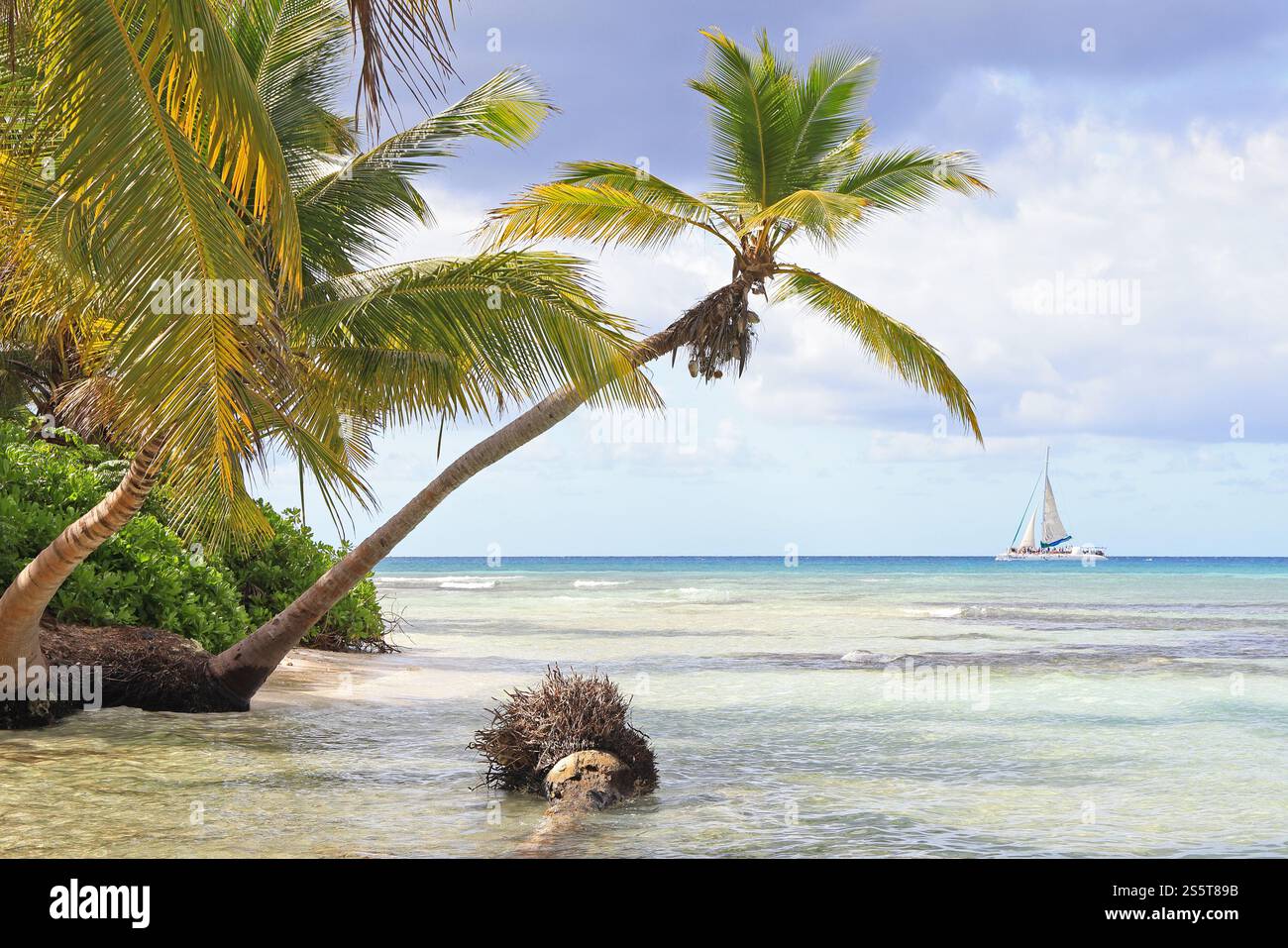 Splendida costa sull'isola di Saona, Repubblica Dominicana Foto Stock