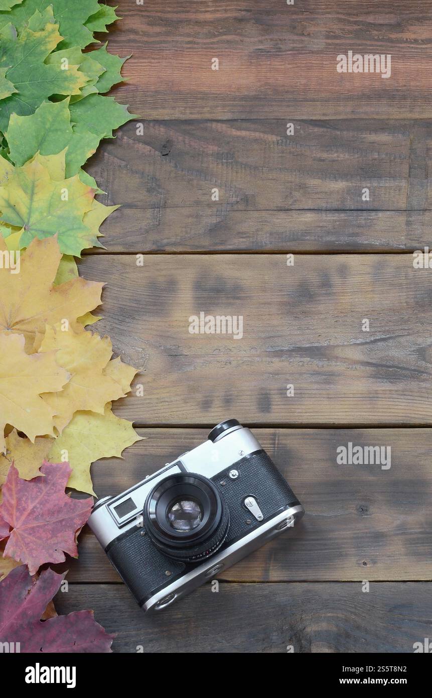 La vecchia macchina fotografica tra un insieme di fenomeni di ingiallimento caduto foglie di autunno su una superficie di sfondo di naturale di tavole di legno di colore marrone scuro Foto Stock
