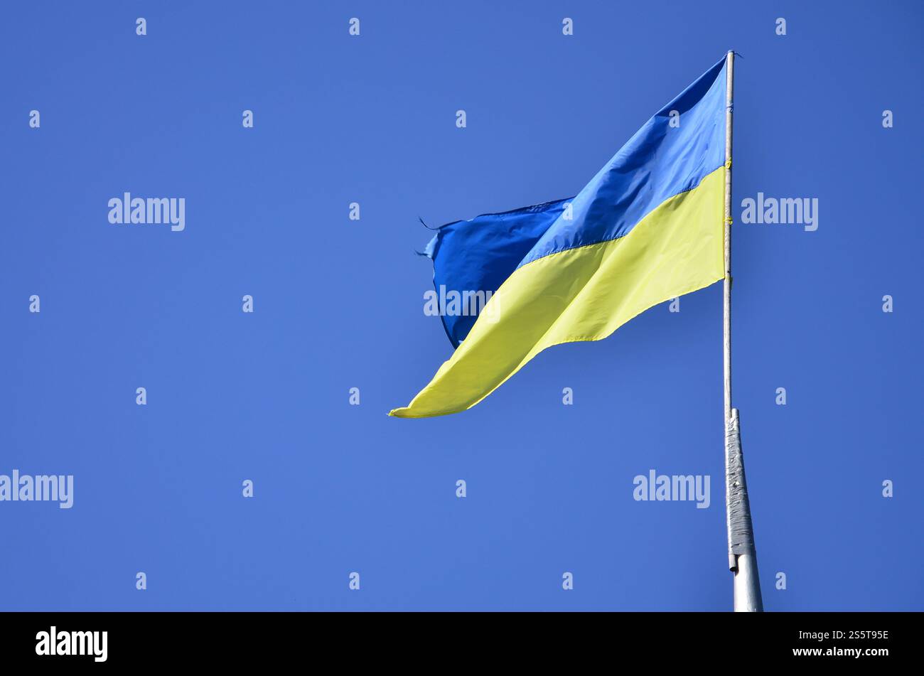 Bandiera ucraino contro il blu cielo senza nuvole. La bandiera ufficiale di stato ucraino include giallo e blu Foto Stock