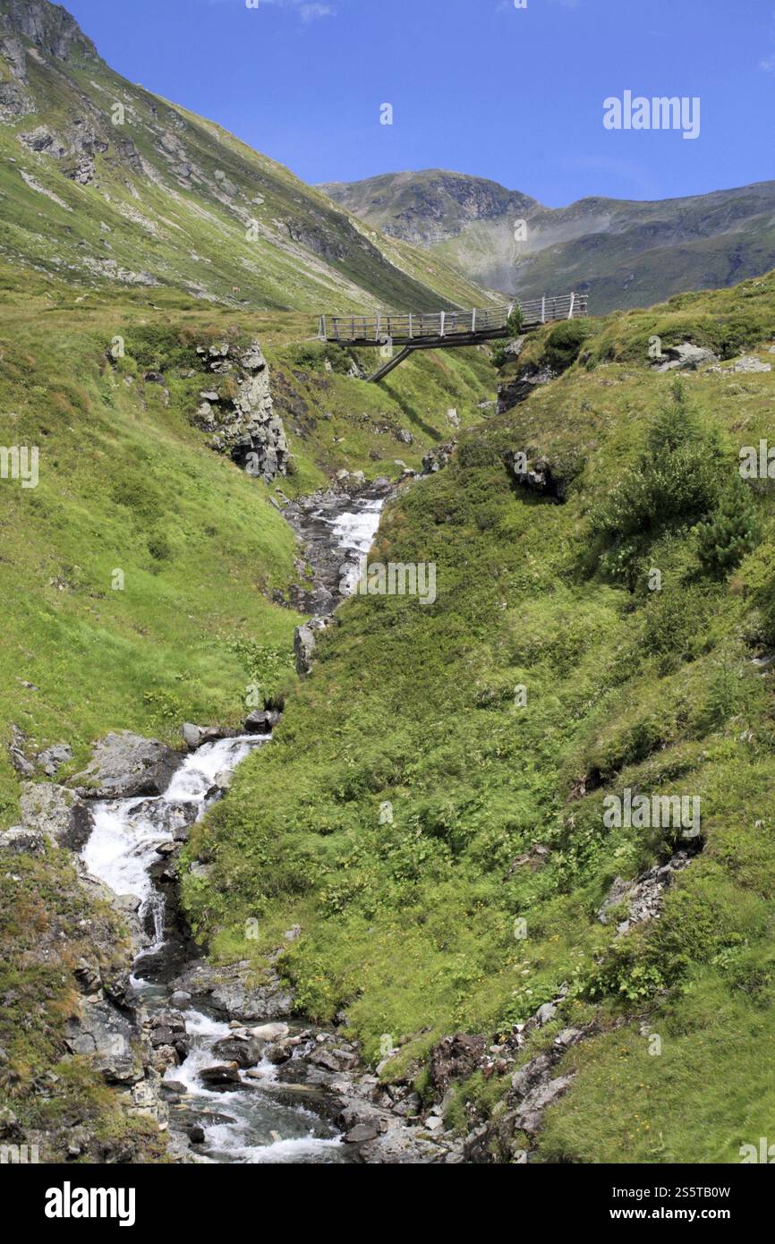 Ponte in legno nel Parco Nazionale degli alti Tauri, Austria, Europa Foto Stock