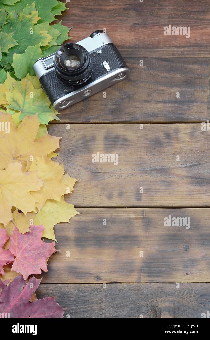 La vecchia macchina fotografica tra un insieme di fenomeni di ingiallimento caduto foglie di autunno su una superficie di sfondo di naturale di tavole di legno di colore marrone scuro Foto Stock