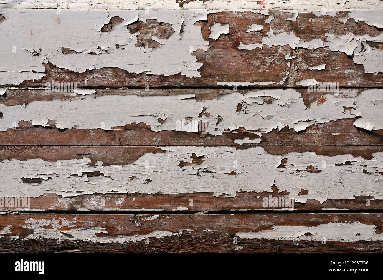 La tessitura di una parete in legno con una vecchia vernice di rivestimento che rovina sotto l'influenza del tempo e clima Foto Stock