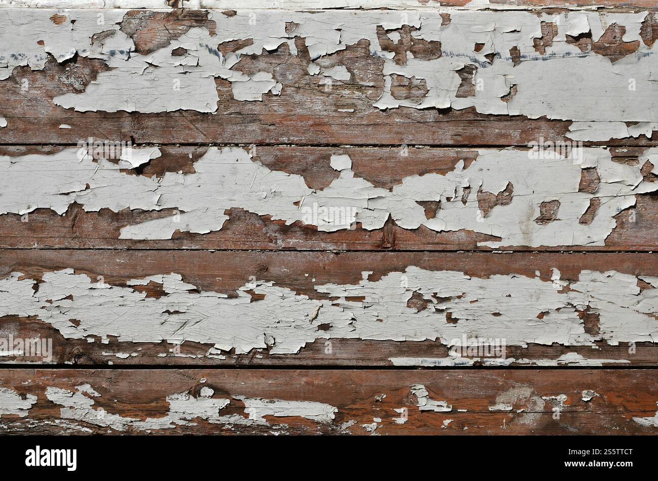 La tessitura di una parete in legno con una vecchia vernice di rivestimento che rovina sotto l'influenza del tempo e clima Foto Stock