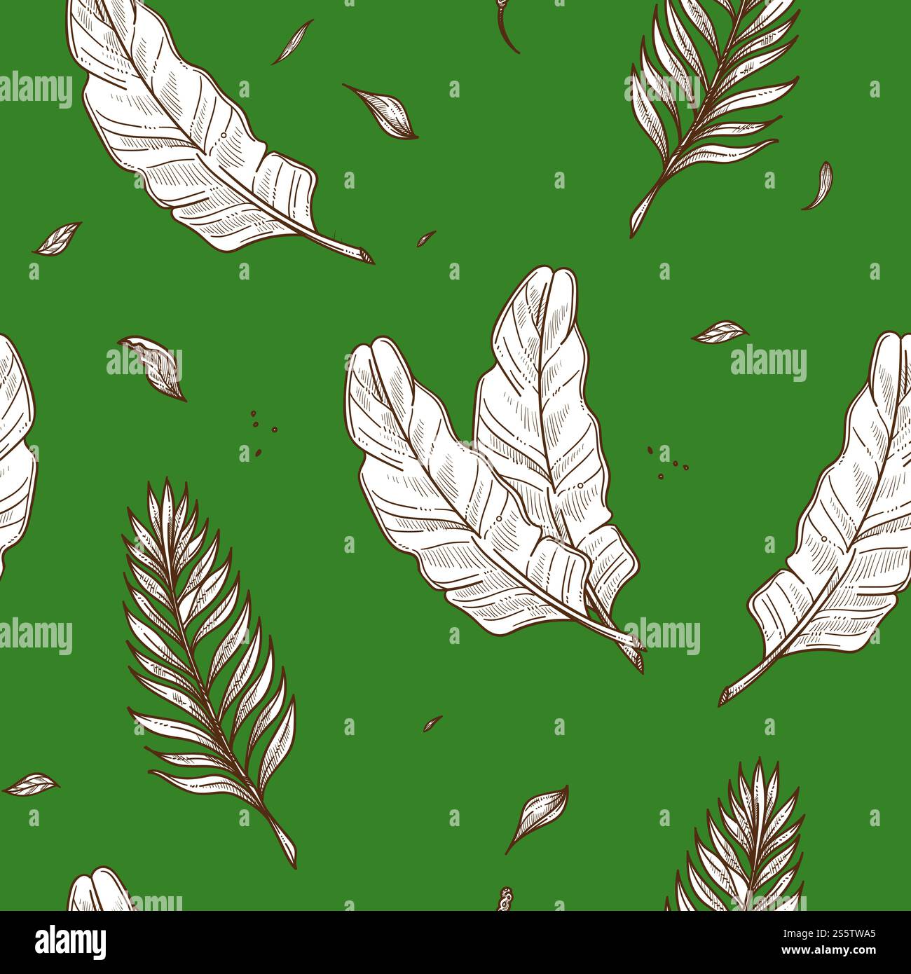 Sfondo per schizzi di foglie di palma tropicale senza cuciture. Design botanico vettoriale di foglie esotiche tropiche di monstera per lo sfondo stampa paradiso estivo della moda. Sfondo per schizzi di foglie di palma tropicale senza cuciture. Illustrazione Vettoriale