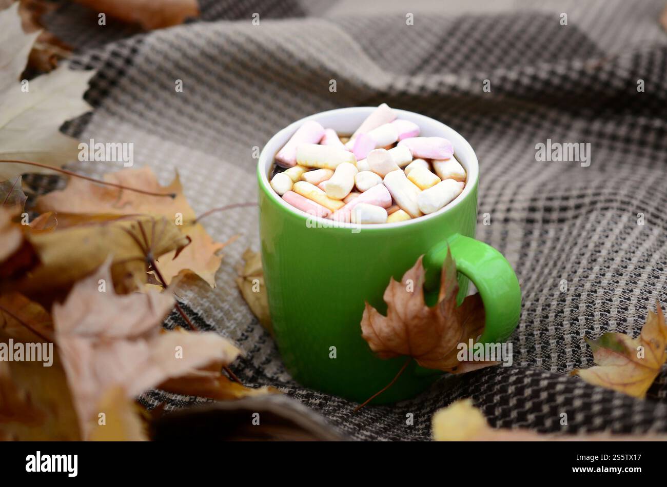 Le foglie autunnali e la tazza di caffè caldo che cuocono a vapore giacciono su un piatto a scacchi all'aperto. Concetto di caduta tempo composizione dell'atmosfera atmosferica. Foglie autunnali e caldo Foto Stock