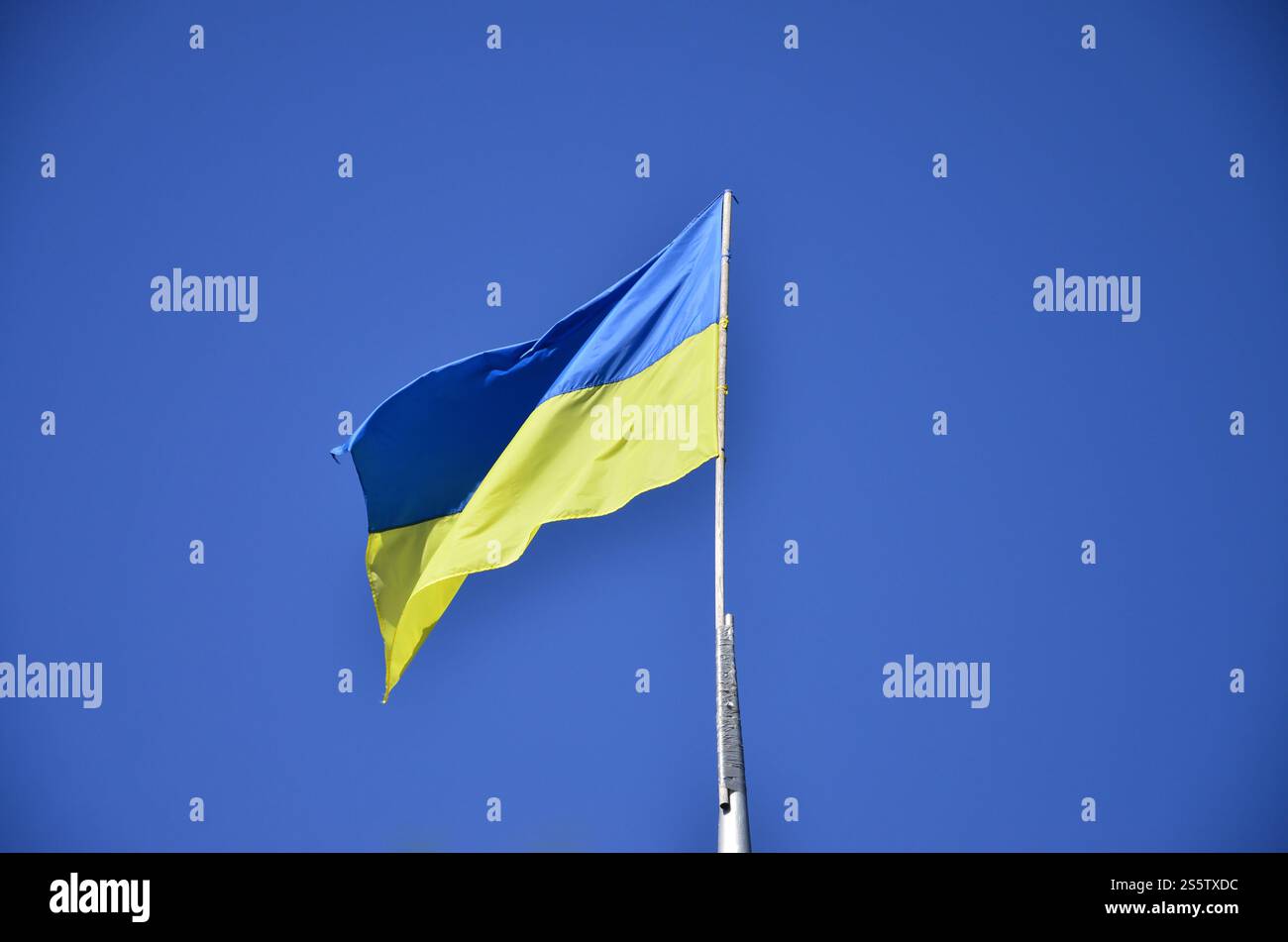 Bandiera ucraino contro il blu cielo senza nuvole. La bandiera ufficiale di stato ucraino include giallo e blu Foto Stock