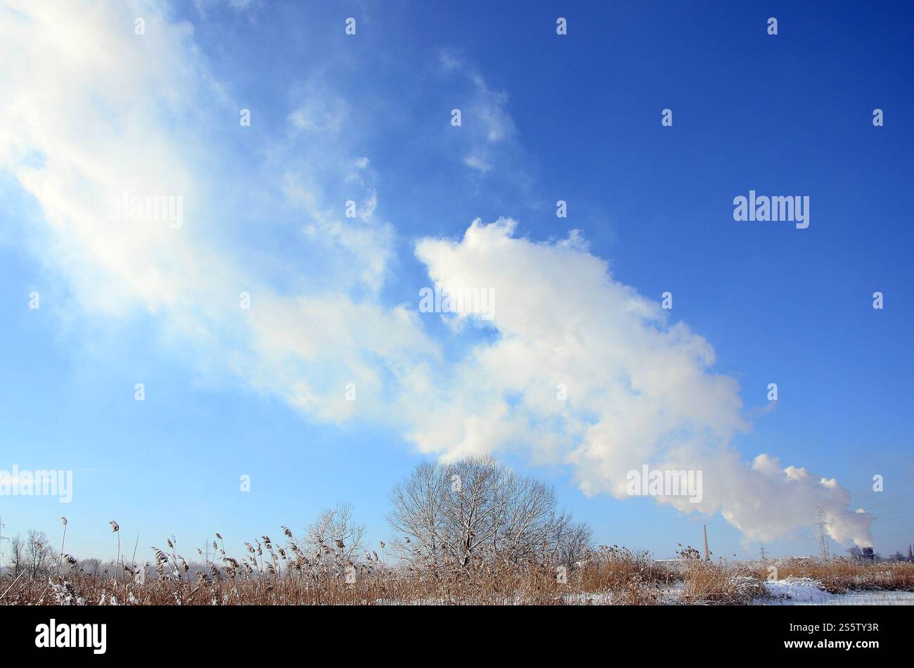 Lo stabilimento industriale si trova dietro il terreno paludoso, coperto di neve. Grande campo di proiettili gialli Foto Stock