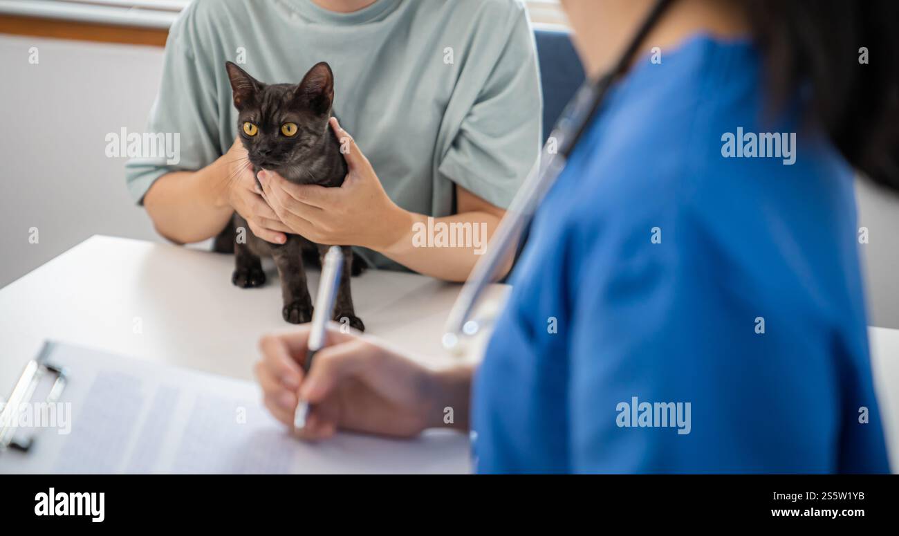 Il medico veterinario professionale aiuta il gatto. gatto proprietario che tiene l'animale sulle mani. Gatto sul tavolo d'esame della clinica veterinaria. Assistenza veterinaria. Medico veterinario e. Foto Stock