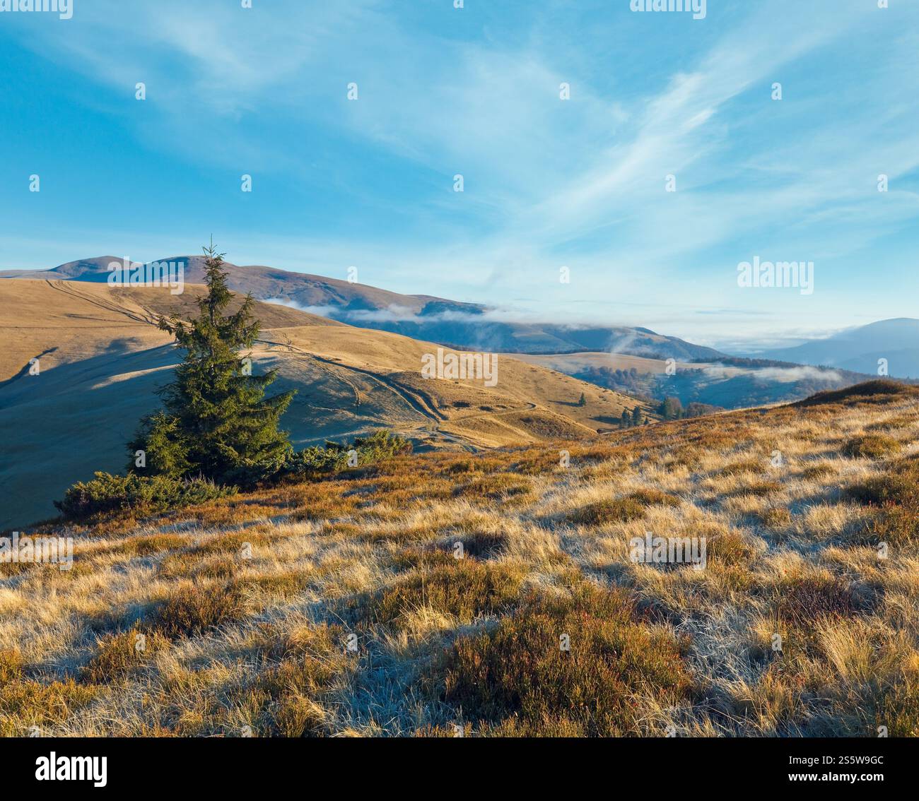 Vista delle montagne autunnali mattutine con strada di campagna (Monti Carpazi, Ucraina). Foto Stock
