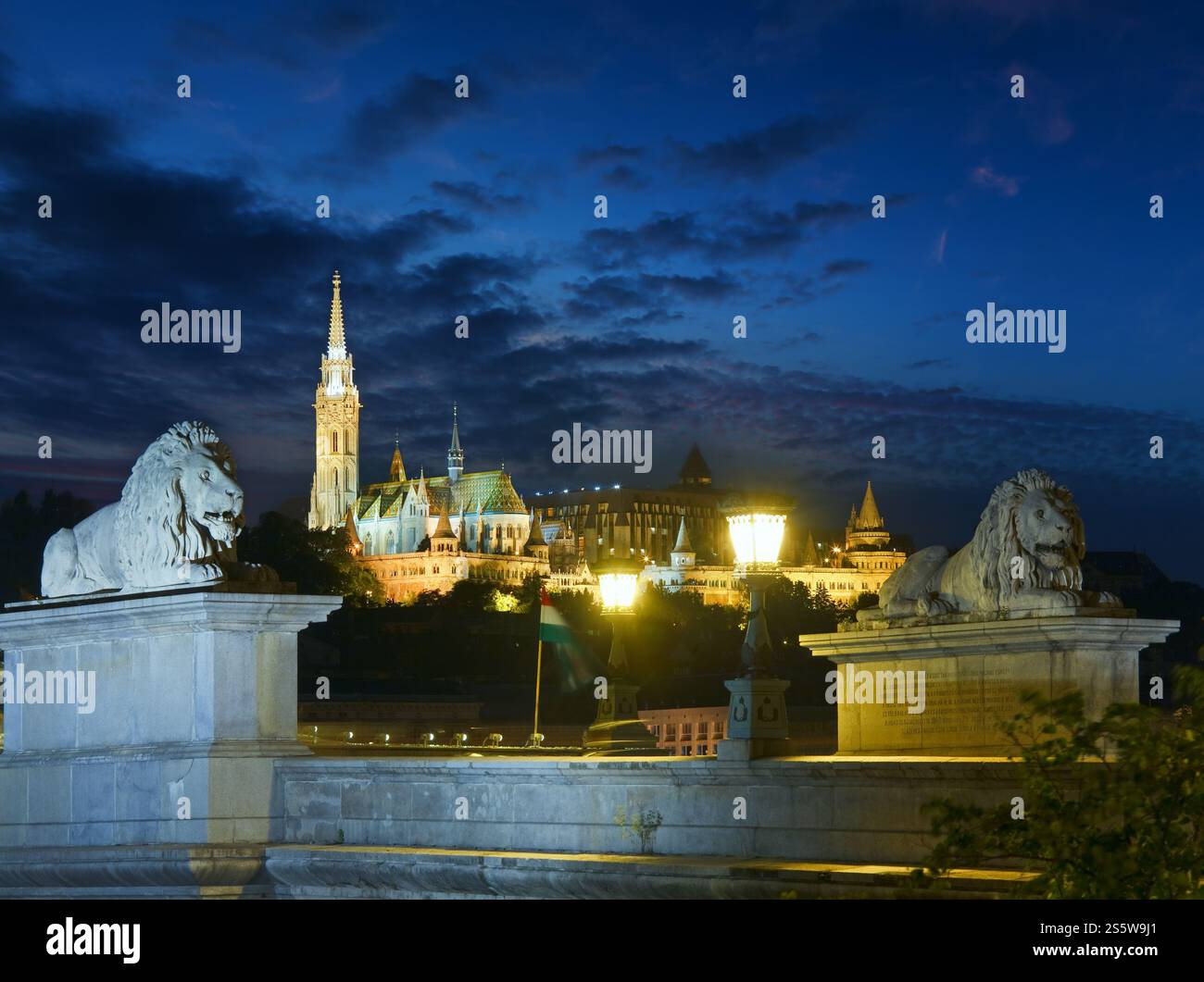 Punto di riferimento ungherese, Budapest Chain Bridge vista notturna. Lunga esposizione. Foto Stock