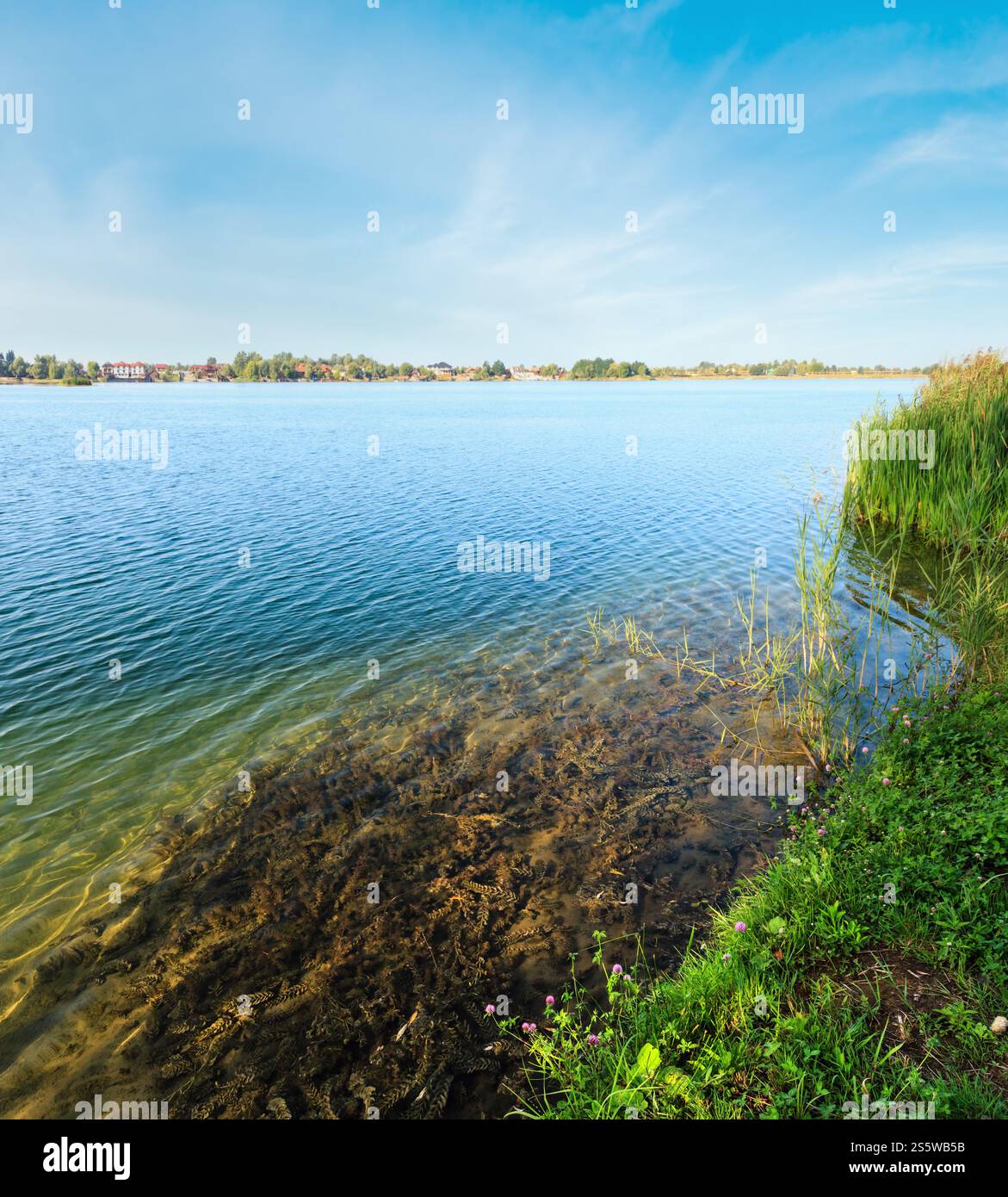 Il pittoresco lago di estate calma rushy shore. Concetto della tranquilla vita di paese, eco-turismo, camping, pesca. Foto Stock