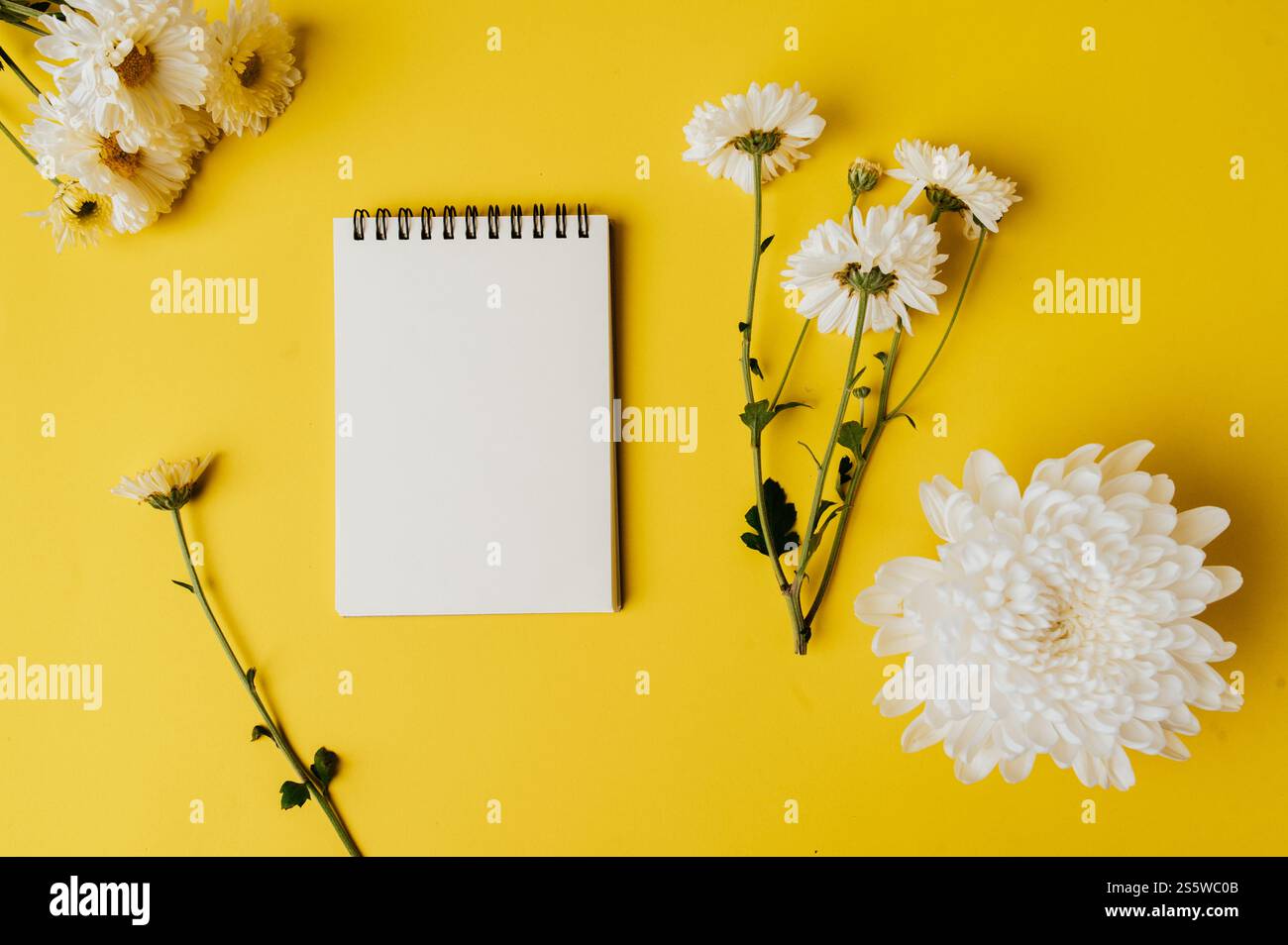 il quaderno e il fiore sono posizionati su sfondo giallo Foto Stock