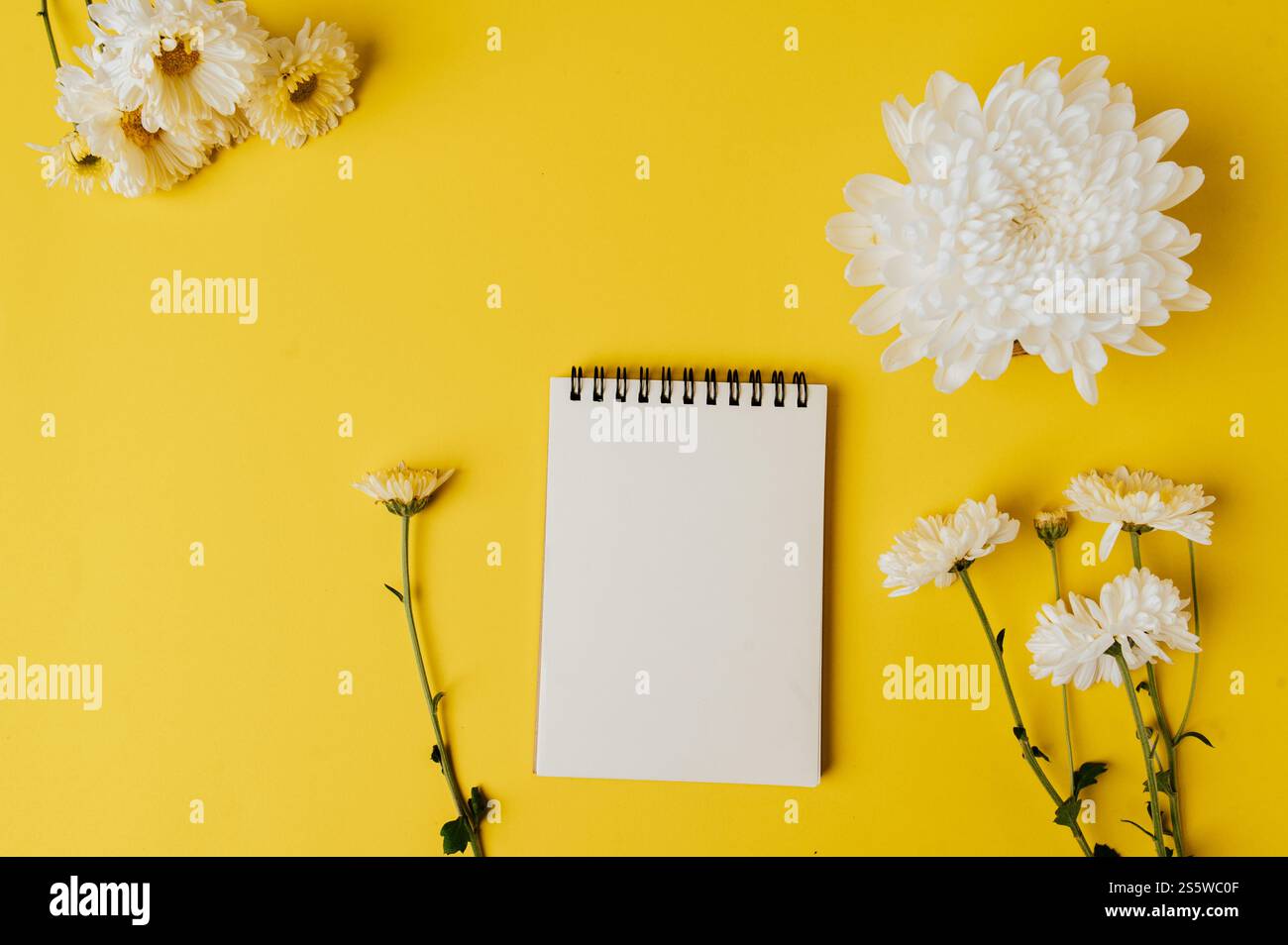 il quaderno e il fiore sono posizionati su sfondo giallo Foto Stock