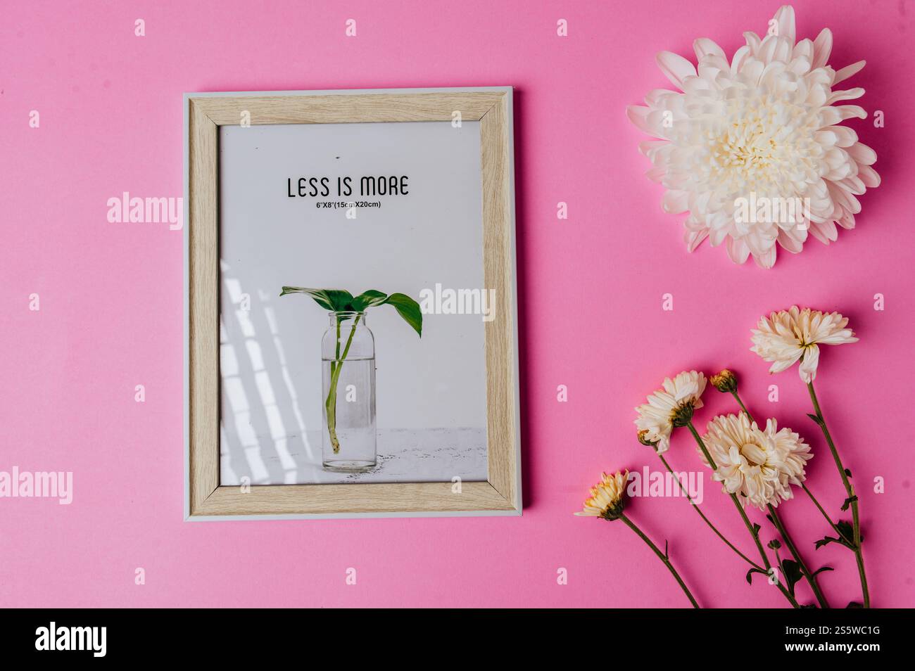 cornice fotografica bianca con fiore su sfondo rosa Foto Stock