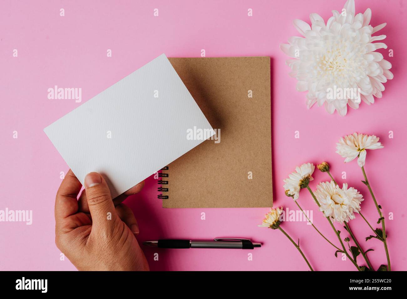 Tenendo a mano carta bianca, quaderno, penna e fiore su sfondo rosa Foto Stock