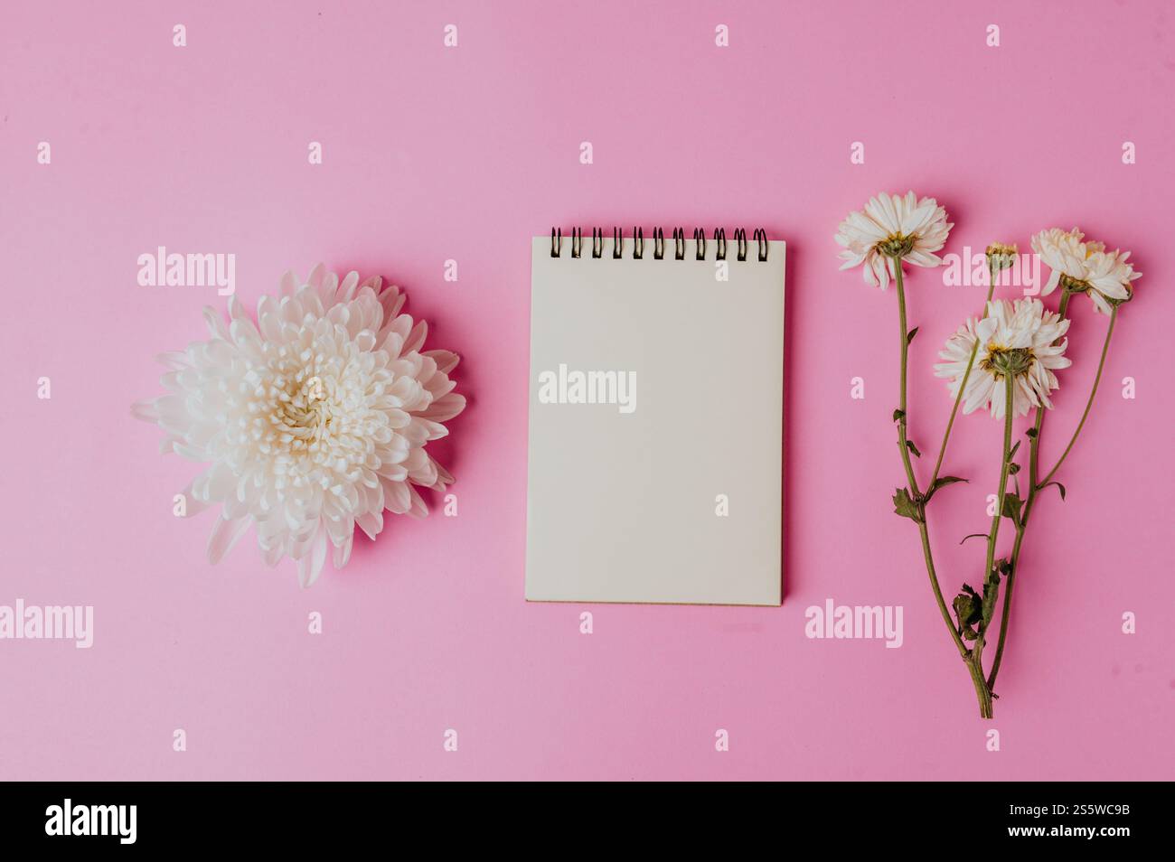 quaderno con fiore su sfondo rosa Foto Stock