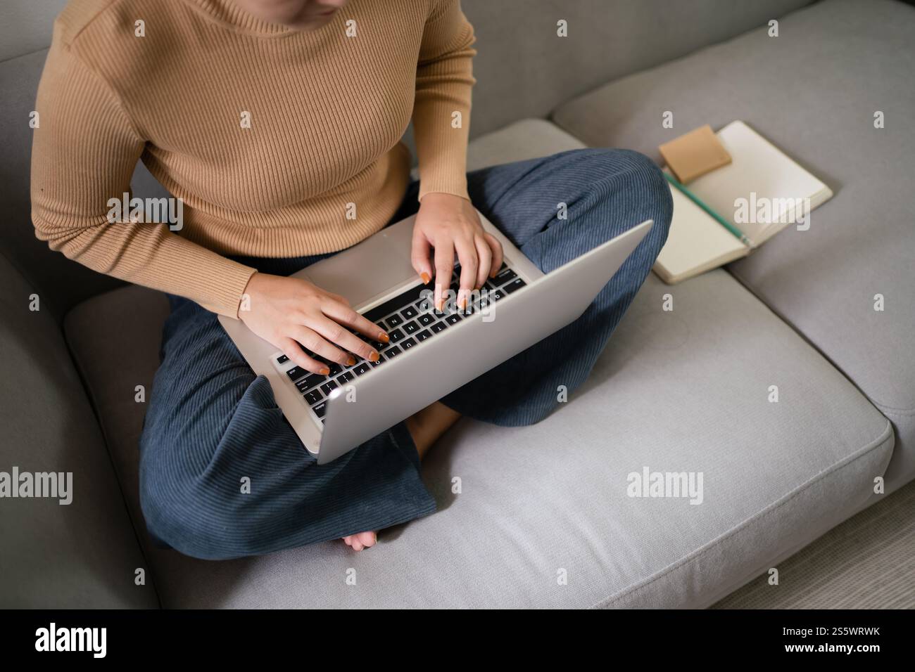 E learning Student girl formazione online a casa. Apprendimento formazione studio esame videoconferenza Tutor videoconferenza tramite webcam concetto di e-coaching Foto Stock