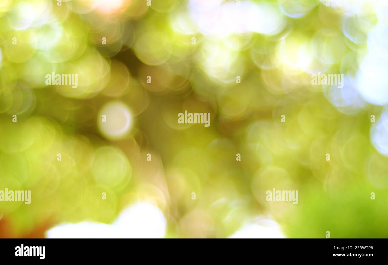 Astratto di bokeh pastello sfondo. Luce bokeh. Luce brillante sfocata spot su sfondo astratto multicolore Foto Stock