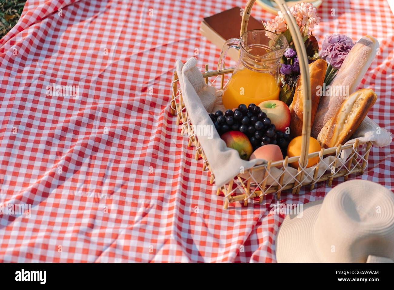 Pranzo al sacco, parco all'aperto con cestino per picnic. goditi un picnic nella natura del parco all'aperto Foto Stock