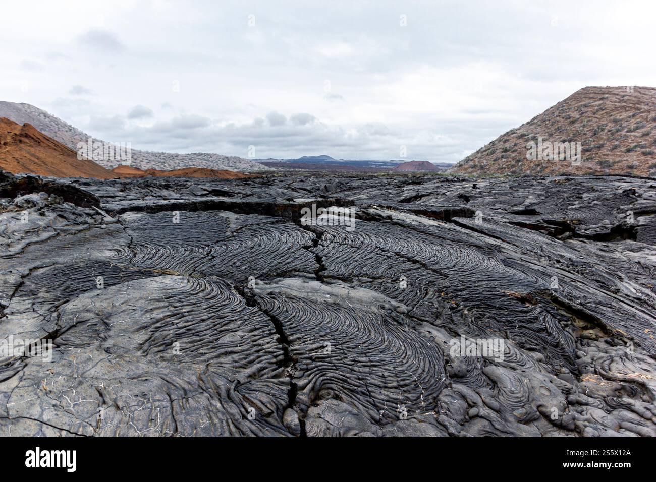 I flussi di lava solidificata creano texture ipnotiche nel paesaggio vulcanico della Baia di Sullivan, dell'Isola di Santiago, delle Galapagos, Ecuador. Foto Stock
