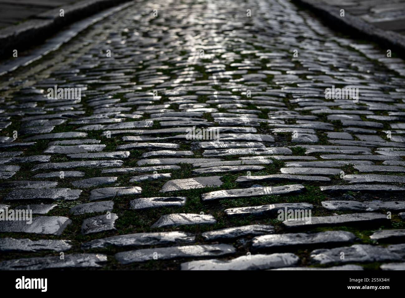 Motivi e riflessi su una strada acciottolata che scatta verso il sole, creando un'immagine quasi monocromatica. Foto Stock