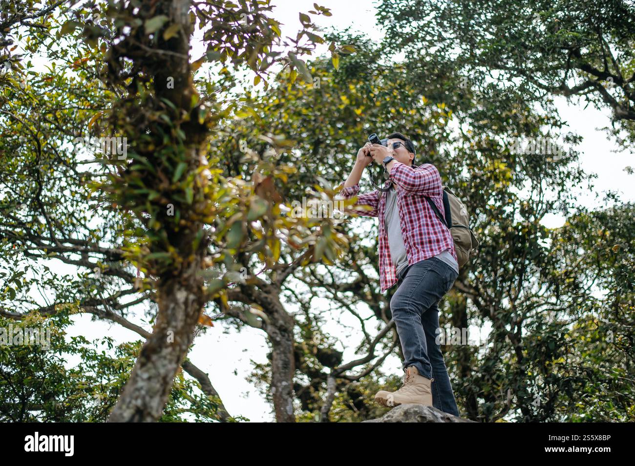 Il giovane escursionista asiatico e lo zaino usano la macchina fotografica per scattare foto nella foresta. copia spazio Foto Stock