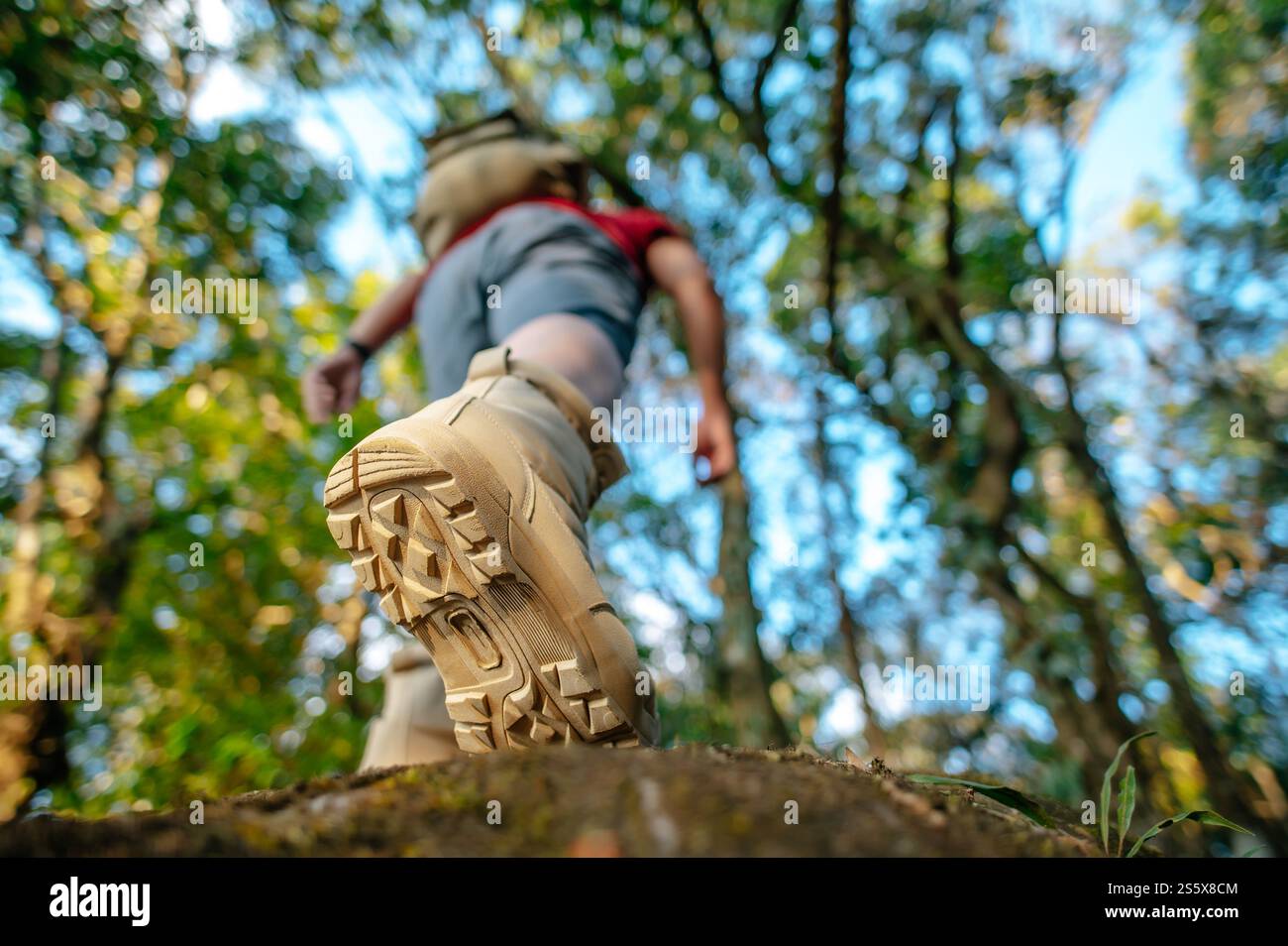 Primo piano, scarpe da trekking per la vista posteriore di escursionisti che camminano sulla roccia? Nel sentiero della foresta con la luce del sole, copia spazio Foto Stock