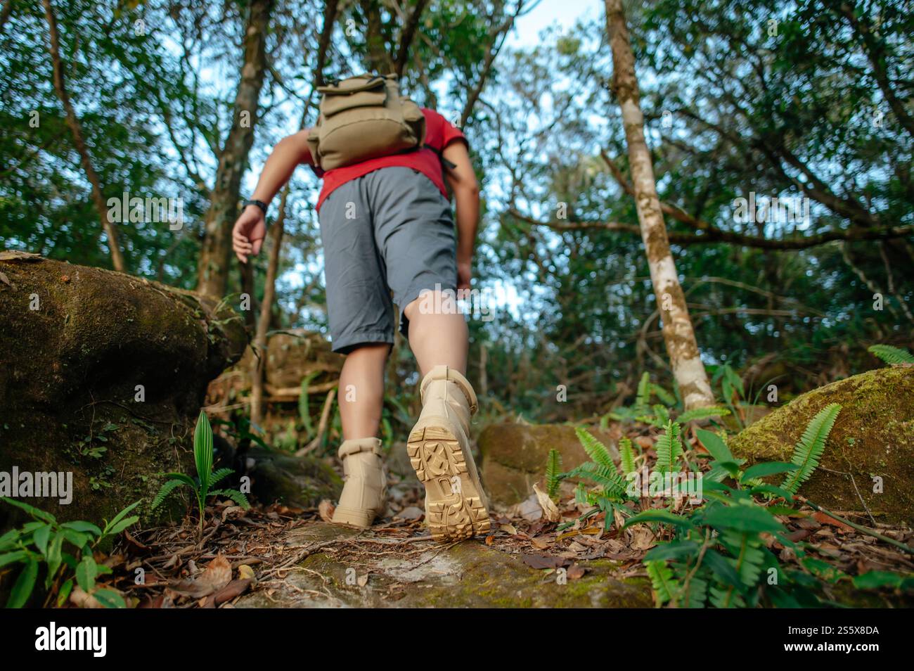 Vista posteriore, retro di un giovane uomo da trekking con zaino che cammina lungo il ripido pendio delle rocce, copia spazio Foto Stock