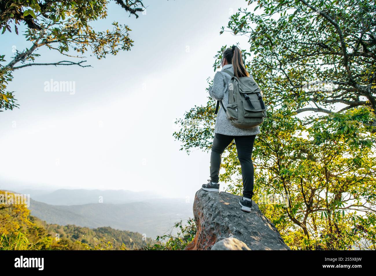 Vista posteriore della giovane donna asiatica che si trova in piedi al punto panoramico e che guarda una splendida vista con felice sulla montagna di picco e raggi del sole, copia spazio Foto Stock