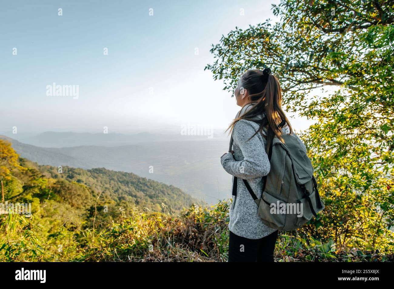 Vista posteriore della giovane donna asiatica che si trova in piedi al punto panoramico e che guarda una splendida vista con felice sulla montagna di picco e raggi del sole, copia spazio Foto Stock