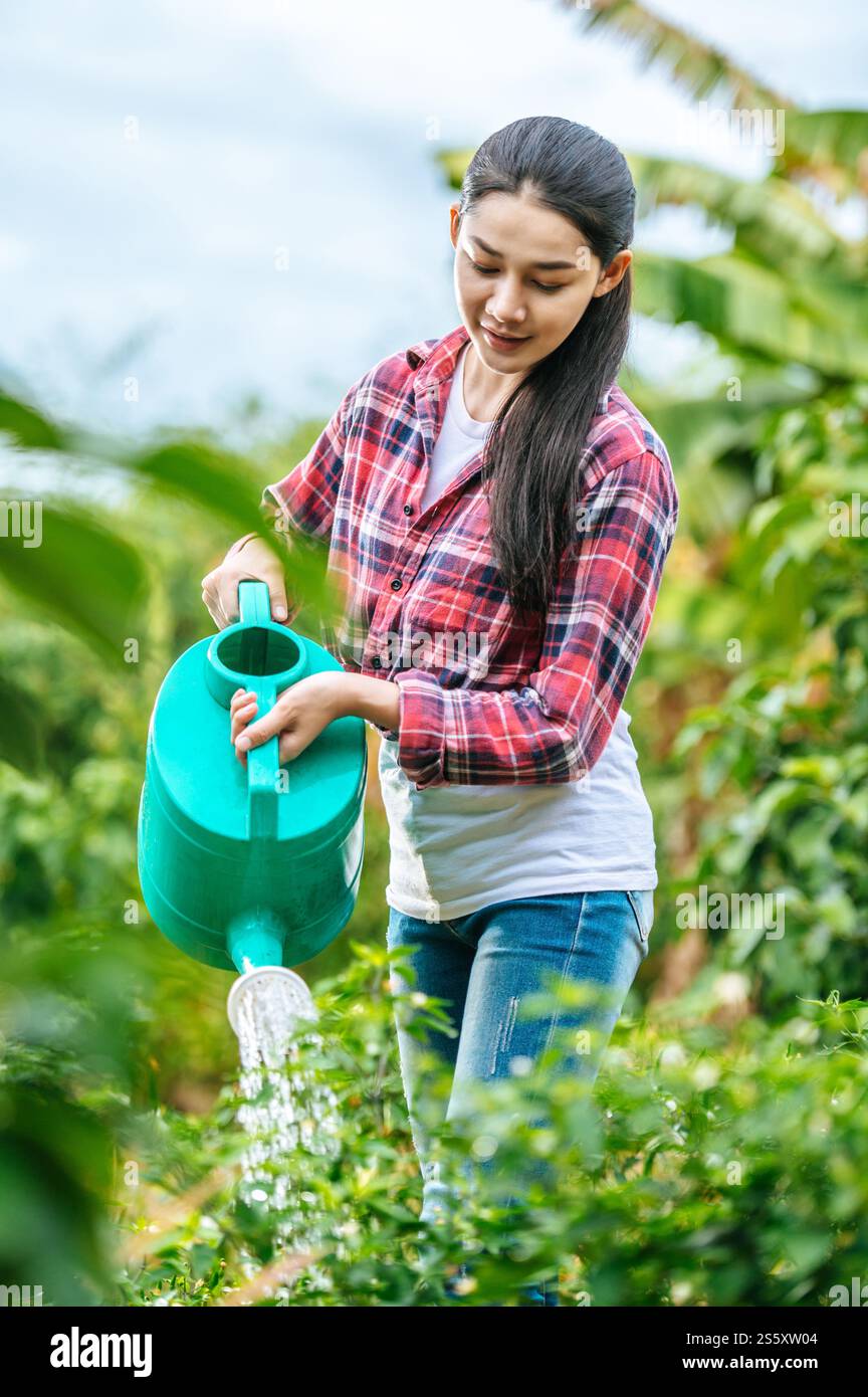 Giovane contadina asiatica che innaffia la pianta nel campo verde. Tecnologie moderne nella gestione dell'agricoltura e nel concetto di agroalimentare. Foto Stock