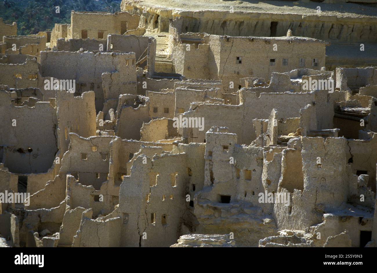 L'antico villaggio di Siwa nel deserto libico o dell'Egitto in Nord Africa. Egitto, Siwa, marzo 2000. AFRICA EGITTO SAHARA SIWA VILLAGGIO Foto Stock