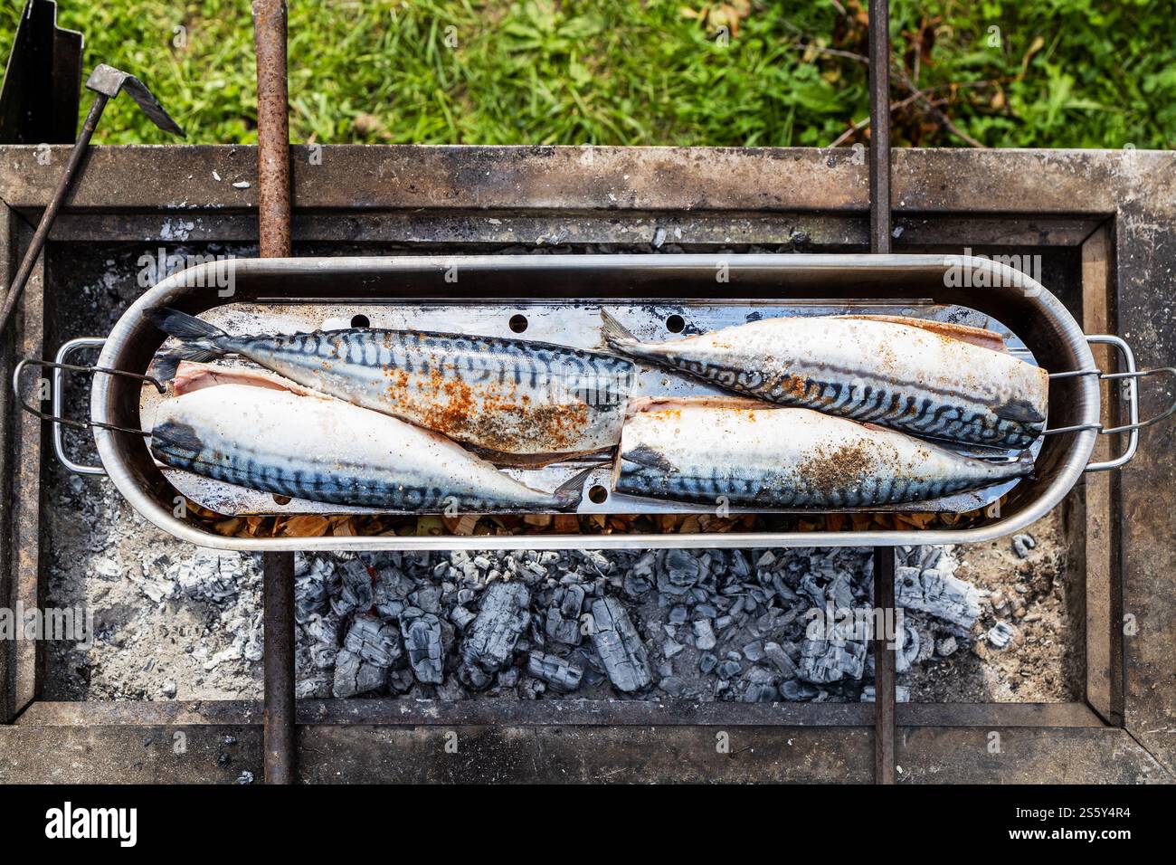 vista dall'alto del pesce crudo in un recipiente per affumicatura in acciaio aperto sulla griglia a carbone all'aperto il giorno d'estate Foto Stock