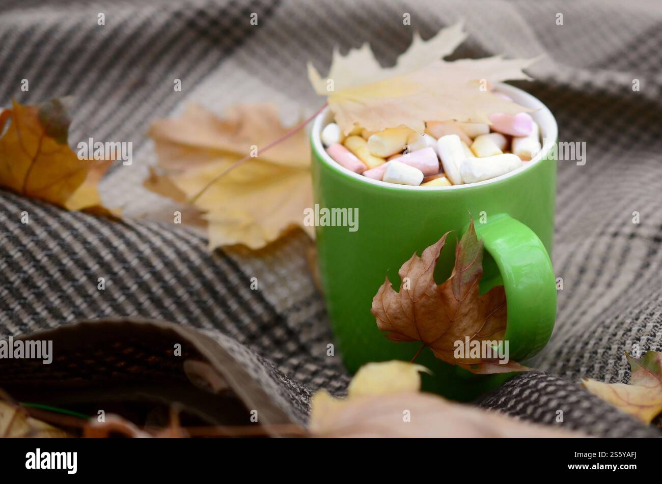 Le foglie autunnali e la tazza di caffè caldo che cuocono a vapore giacciono su un piatto a scacchi all'aperto. Concetto di caduta tempo composizione dell'atmosfera atmosferica. Foglie autunnali e caldo Foto Stock
