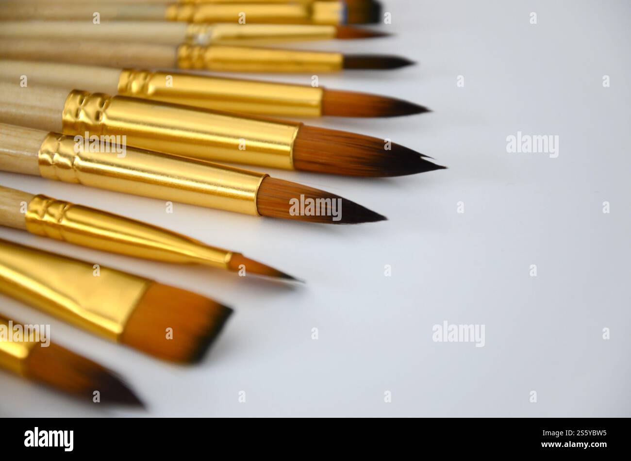 Una selezione di pennelli arancioni con dimensioni diverse su una superficie bianca, strumenti artistici di sfondo per la pittura del volto. Una selezione di pennelli arancioni con Foto Stock