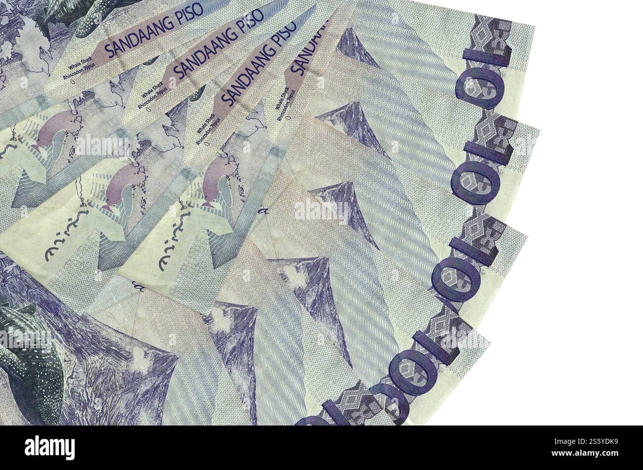 100 banconote in piso delle Filippine sono isolate su sfondo bianco con spazio di copia impilato in primo piano a forma di ventaglio. Concetto di transazioni finanziarie. 100 Foto Stock