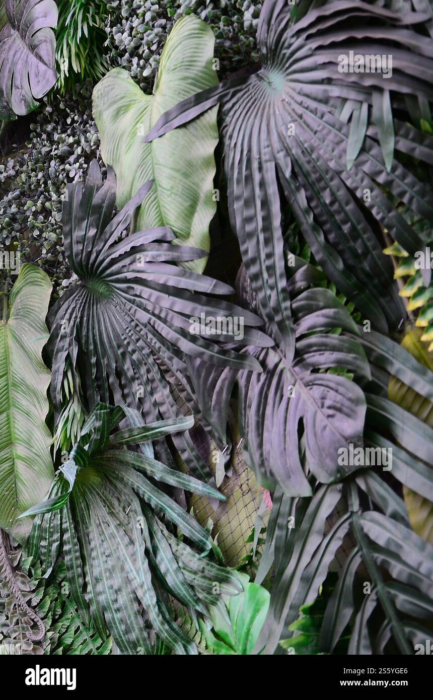 Fondo di foglie verdi tropicali, felce, palma e foglie di Monstera Deliciosa a parete. Primo piano sul concept del motivo della giungla floreale. Verde tropicale Foto Stock