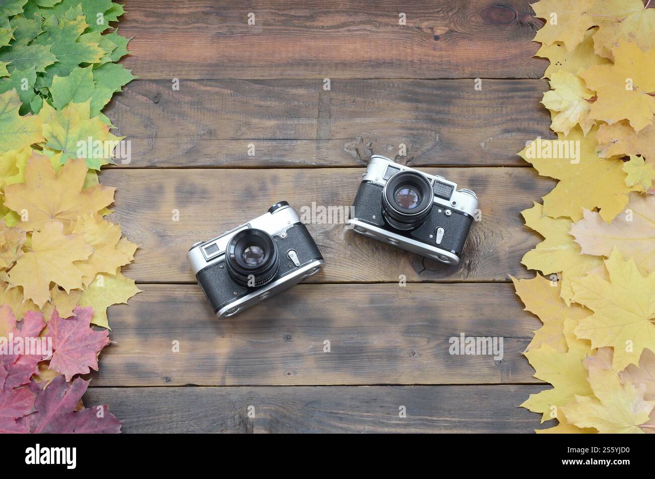 Due vecchie macchine fotografiche tra un insieme di fenomeni di ingiallimento caduto foglie di autunno su una superficie di sfondo di naturale di tavole di legno di colore marrone scuro Foto Stock