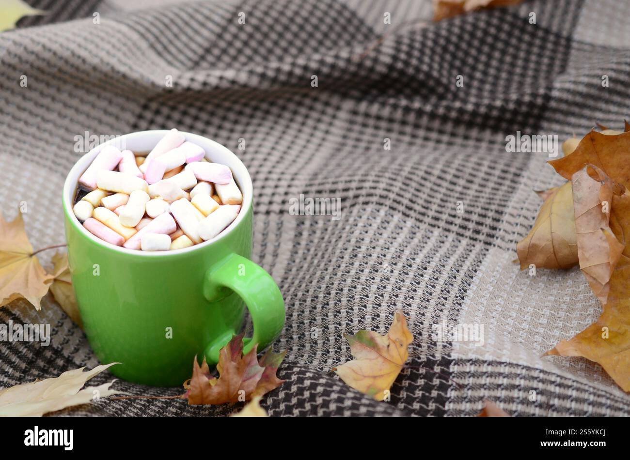 Le foglie autunnali e la tazza di caffè caldo che cuocono a vapore giacciono su un piatto a scacchi all'aperto. Concetto di caduta tempo composizione dell'atmosfera atmosferica. Foglie autunnali e caldo Foto Stock
