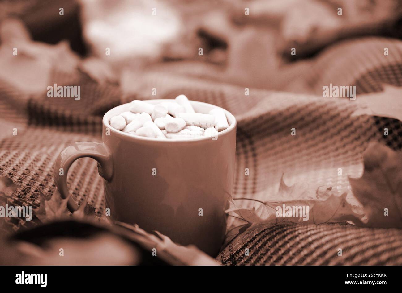 Le foglie autunnali e la tazza di caffè caldo che cuocono a vapore giacciono su un piatto a scacchi all'aperto. Concetto di caduta tempo composizione dell'atmosfera atmosferica. Foglie autunnali e caldo Foto Stock