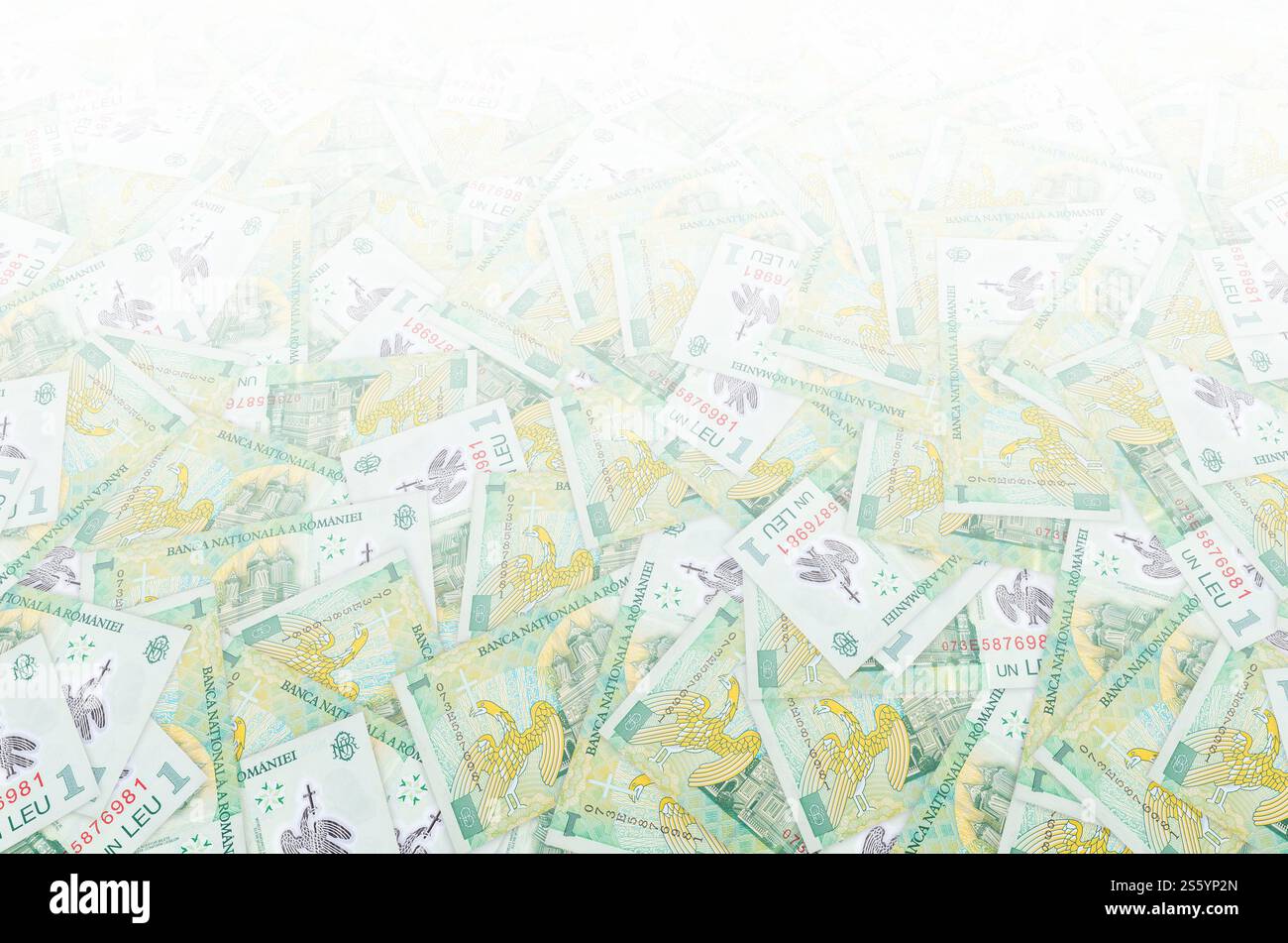 Curtea de Arges Cattedrale ritratto da soldi rumeni 1 Leu 2005 Banknote. Primo piano sulla bolletta dei soldi verdi. Cattedrale Curtea de Arges ritratto da Foto Stock