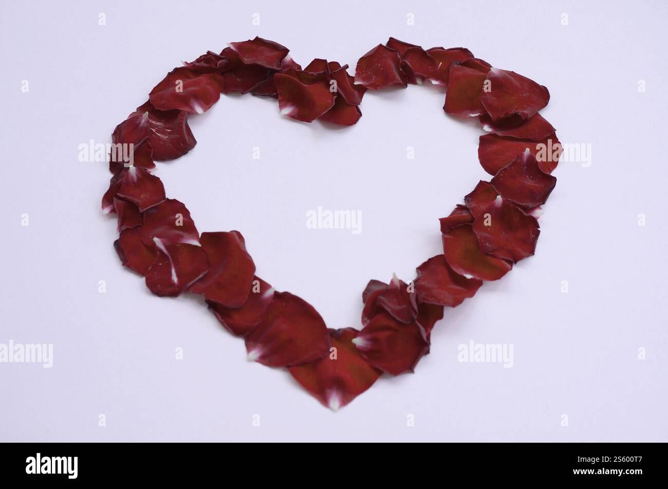 Cuore di petali di rosa su sfondo lilla pastello. San Valentino sullo sfondo. Scena romantica. Motivo testurizzato per la giornata delle donne o delle mamme. Copia spazio. Foto Stock