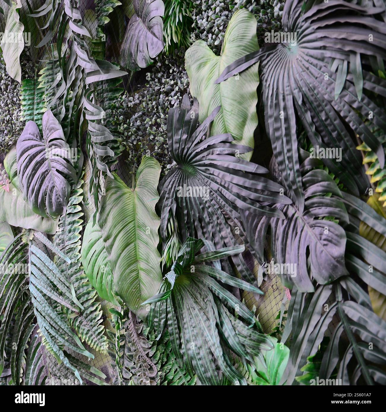 Fondo di foglie verdi tropicali, felce, palma e foglie di Monstera Deliciosa a parete. Primo piano sul concept del motivo della giungla floreale. Verde tropicale Foto Stock