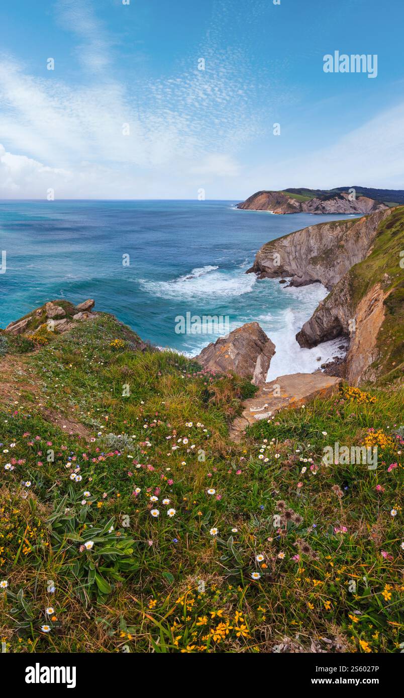 Paesaggio estivo della costa oceanica in fiore vicino alla città di Gorliz, Biscay Bay, Spagna. Foto Stock