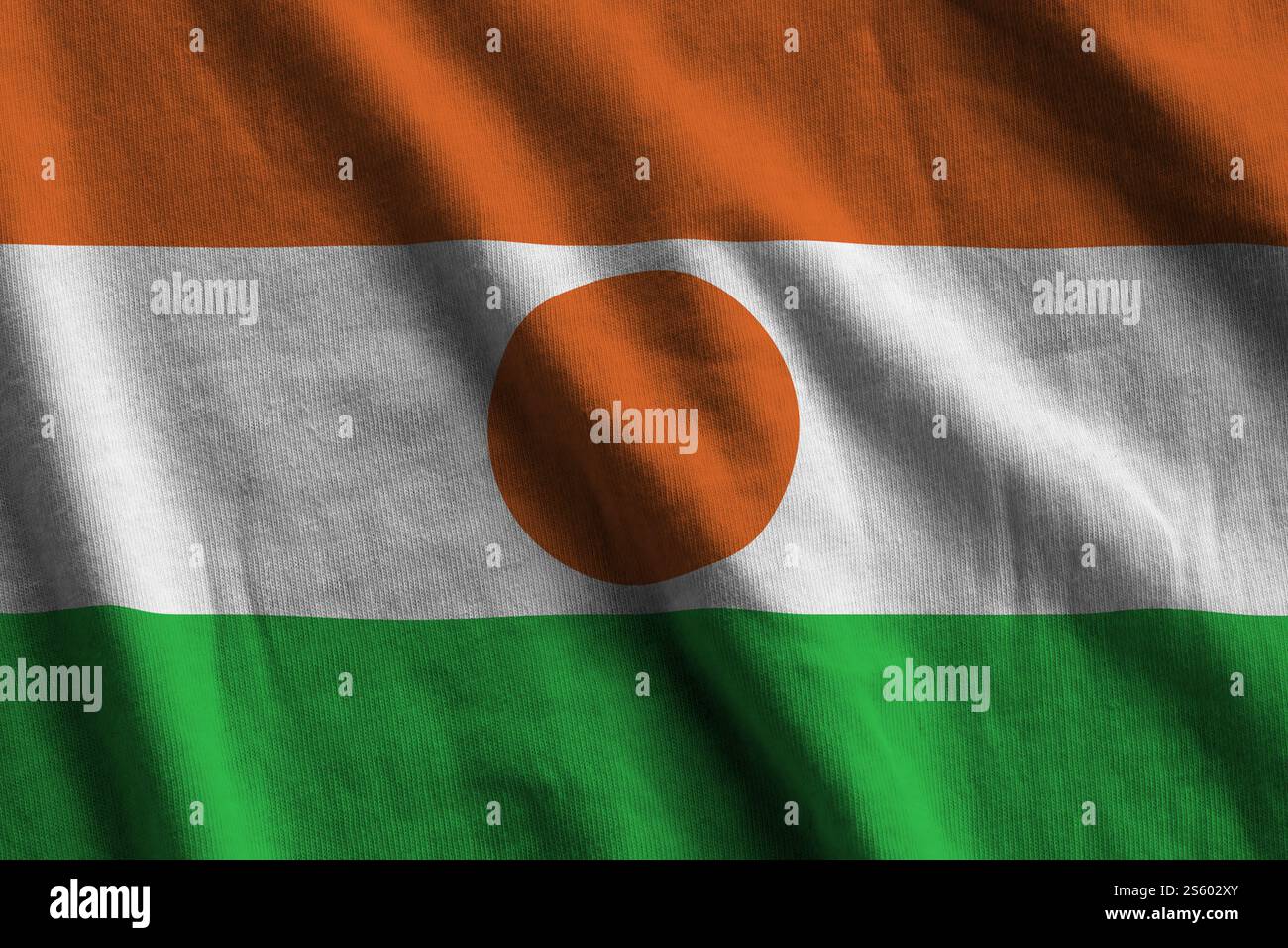 Bandiera nigeriana con grandi pieghe che sventolano da vicino sotto la luce dello studio in interni. I simboli e i colori ufficiali dello striscione in tessuto. Bandiera del Niger con pieghe grandi Foto Stock