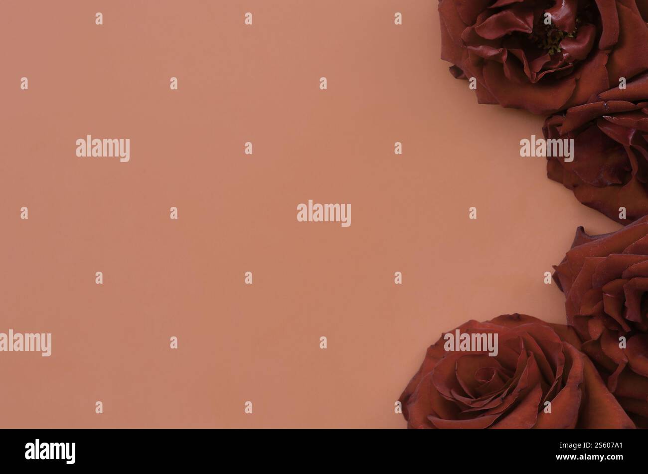 Rose rosse scure sul tabellone rosso, sfondo di San Valentino, giorno del matrimonio. Love Concept San Valentino Card con sfondo rosso e spazio per il testo di saluto. Foto Stock