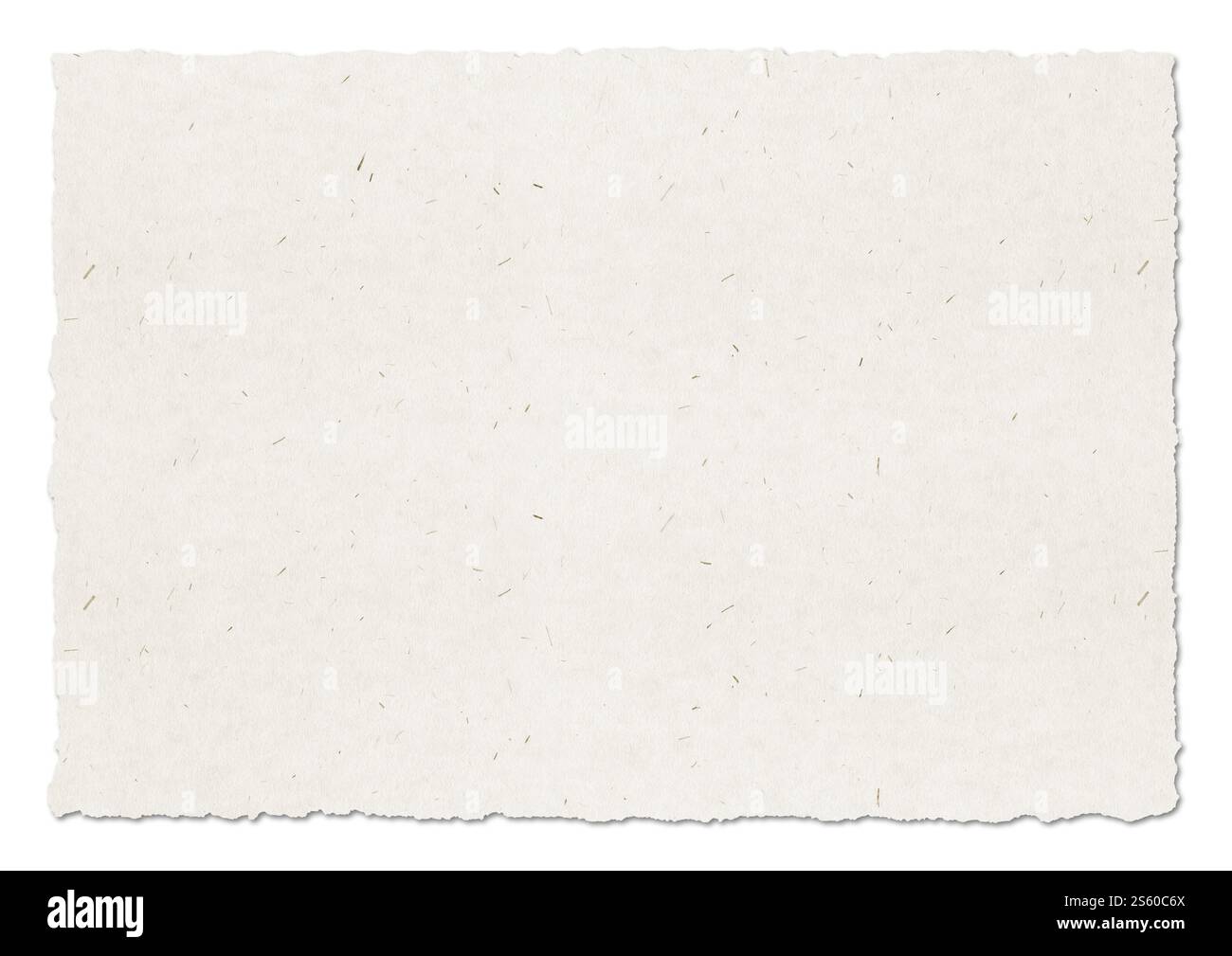 Sfondo con trama di carta bianca riciclata. Carta da parati vintage. Isolato su bianco. Sfondo con trama di carta riciclata Foto Stock