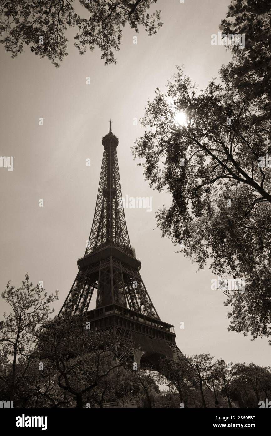 Vista sulla Torre Eiffel dalle strade, Parigi, Francia. Foto in bianco e nero. Torre Eiffel, Parigi, Francia Foto Stock